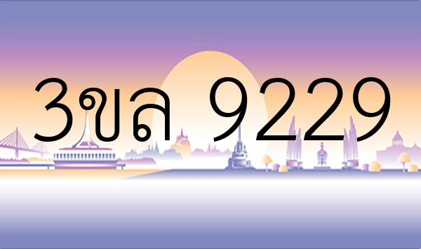 3ขล 9229